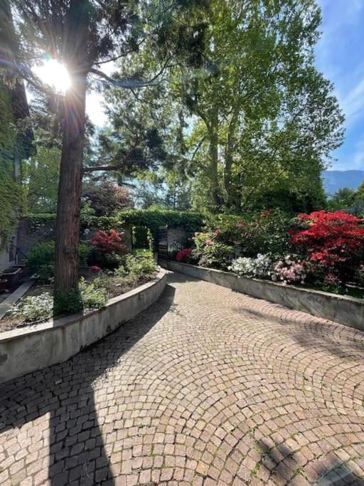 Apartament Domus Aurea Bolzano Zewnętrze zdjęcie